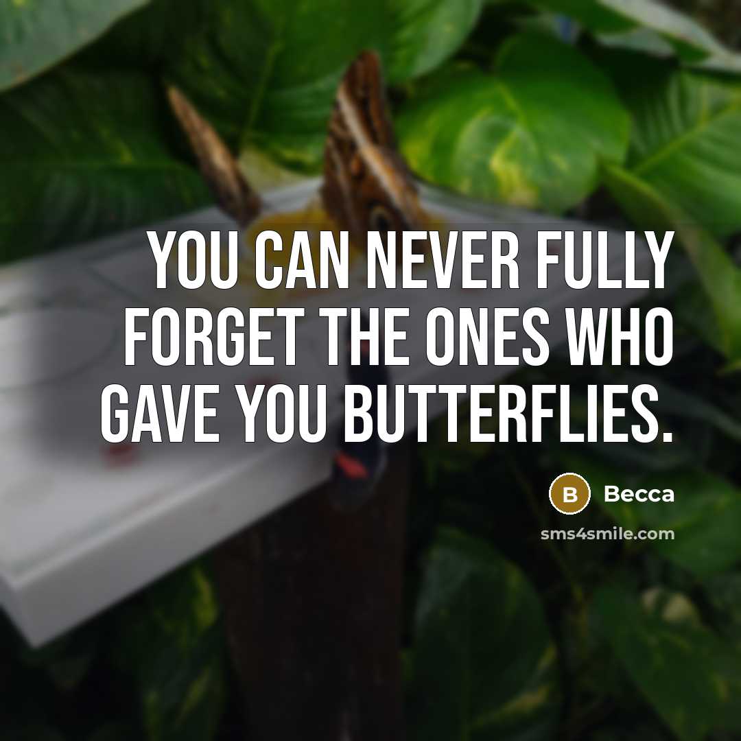 “You can never fully forget the ones who gave you butterflies.” quote by Becca