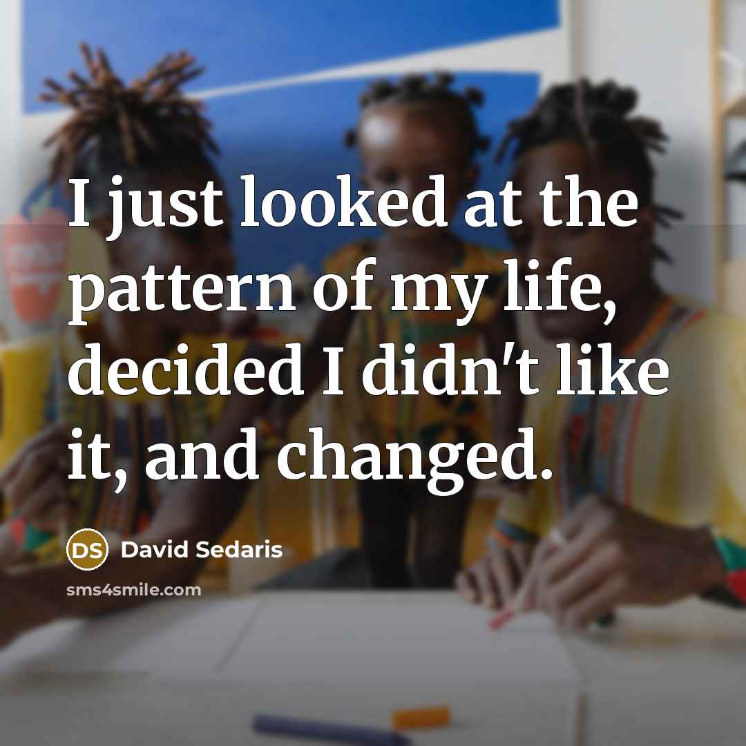 “I just looked at the pattern of my life, decided…” quote by David Sedaris
