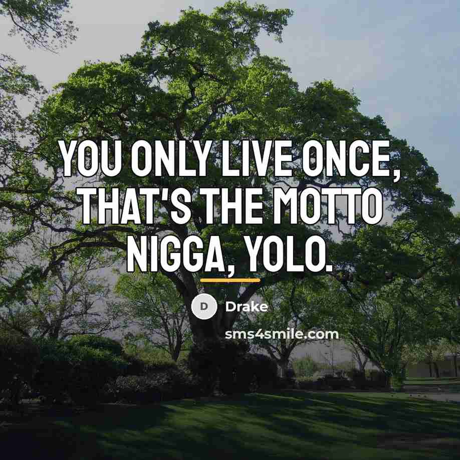 “You only live once, that's the motto nigga, YOLO.…” quote by Drake