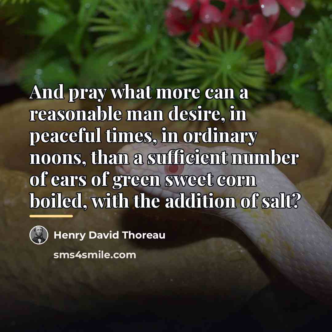 “And pray what more can a reasonable man desire, in…” quote by Henry David Thoreau