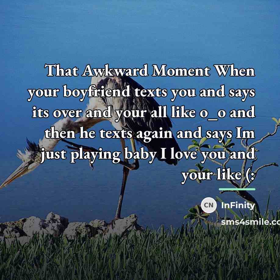 “That Awkward Moment When your boyfriend texts you and says…” quote by InFinity