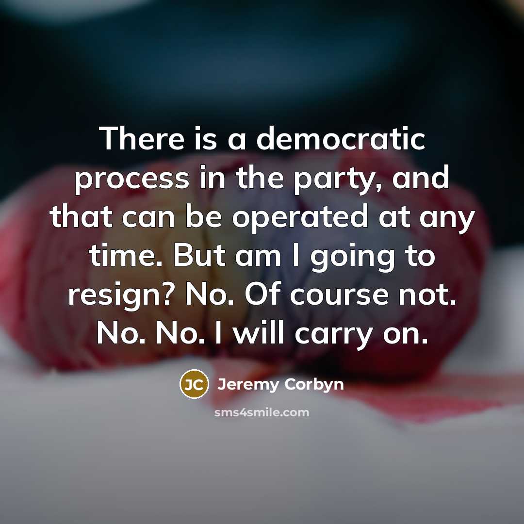 “There is a democratic process in the party, and that…” quote by Jeremy Corbyn