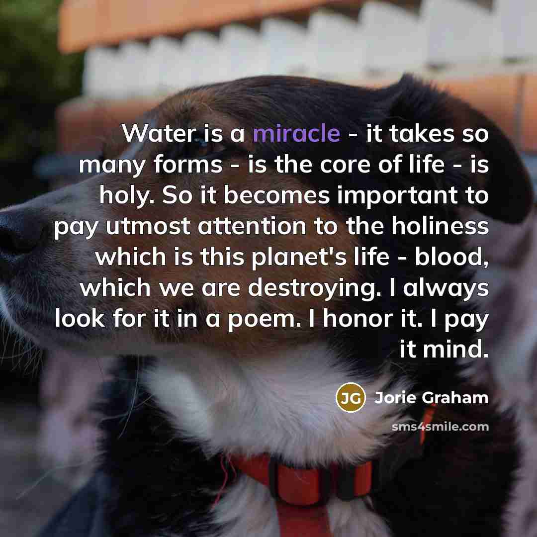 “Water is a miracle - it takes so many forms…” quote by Jorie Graham
