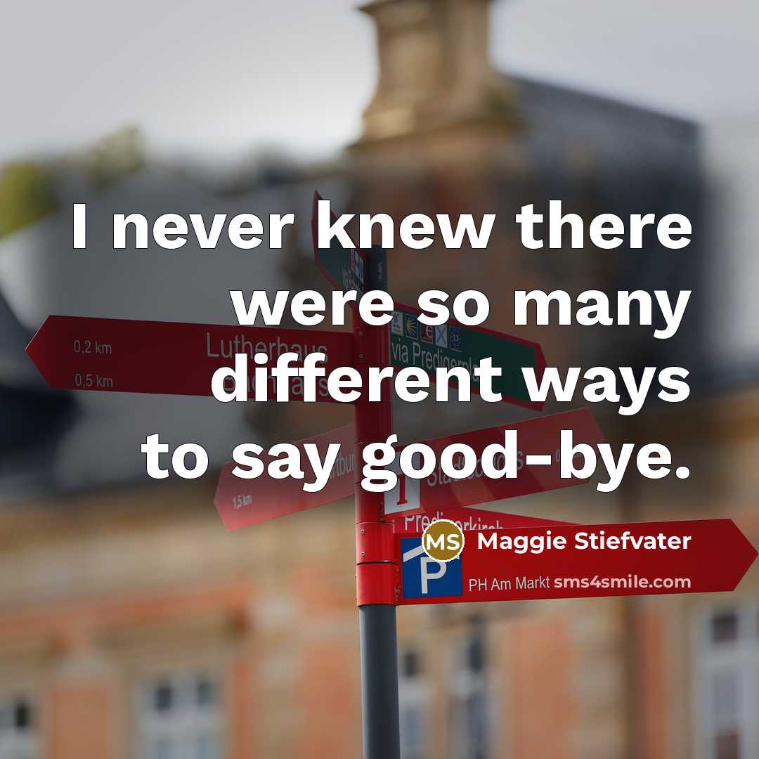 “I never knew there were so many different ways to…” quote by Maggie Stiefvater