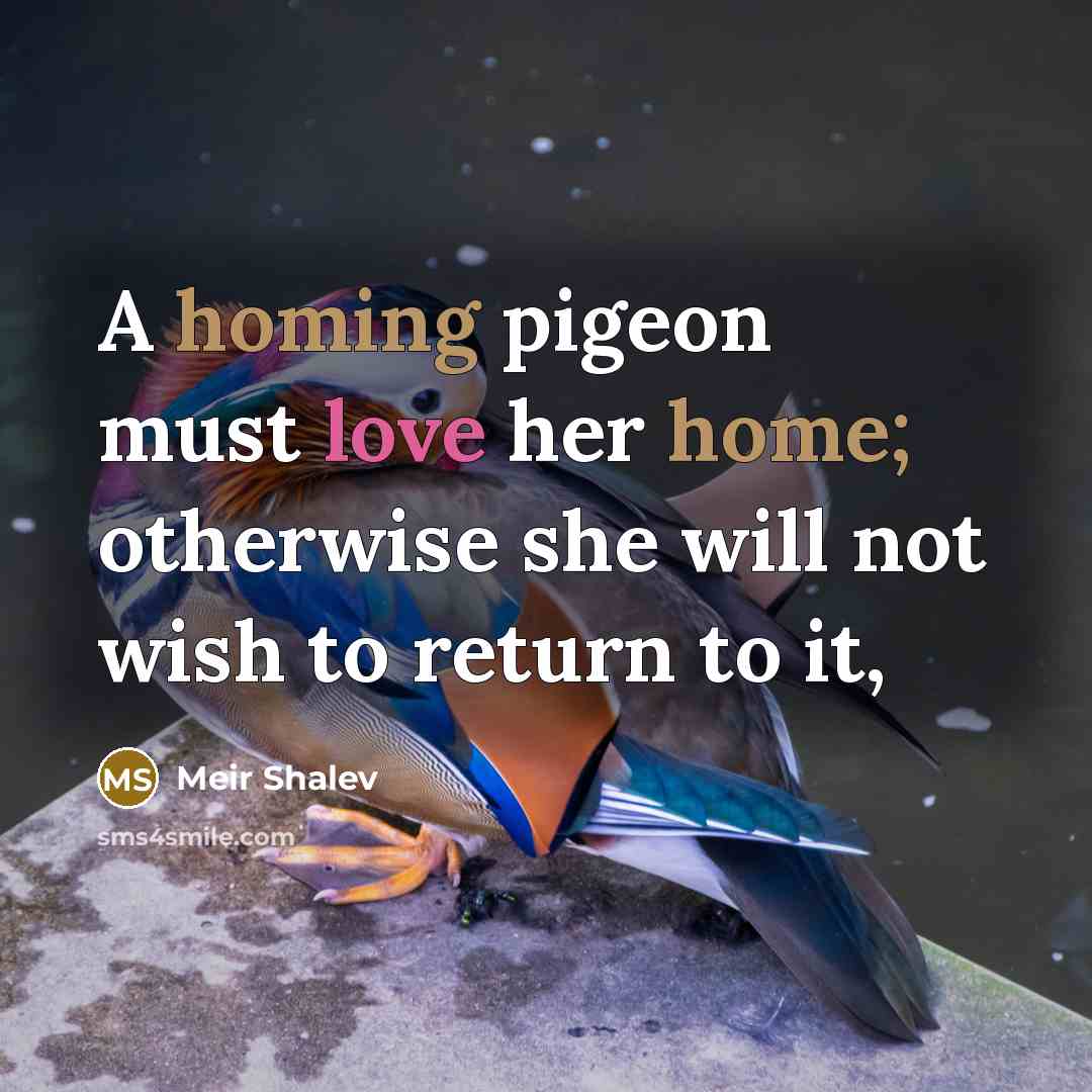 “A homing pigeon must love her home; otherwise she will not wish to return to it,” quote by Meir Shalev