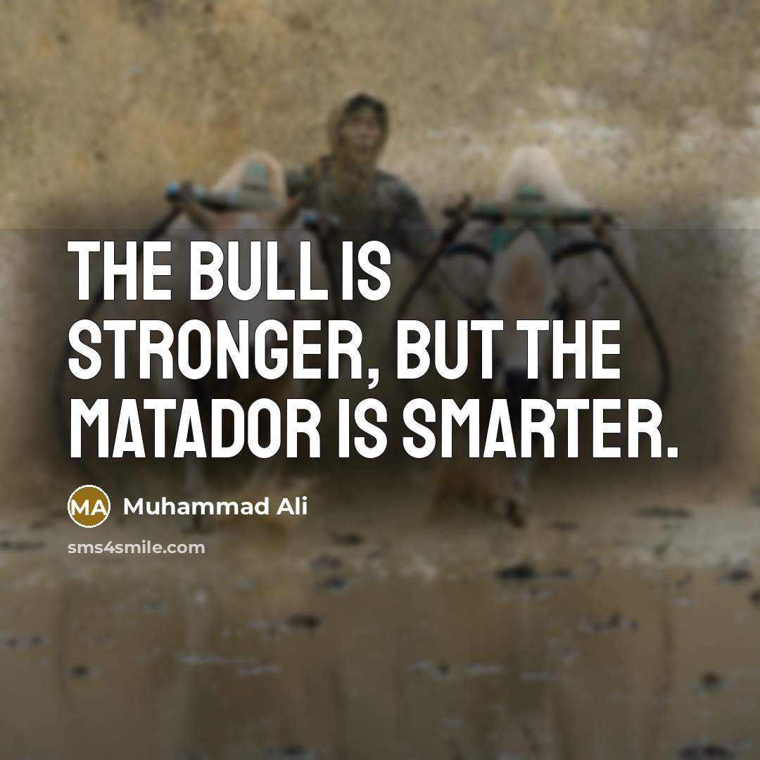 “The bull is stronger, but the matador is smarter.…” quote by Muhammad Ali