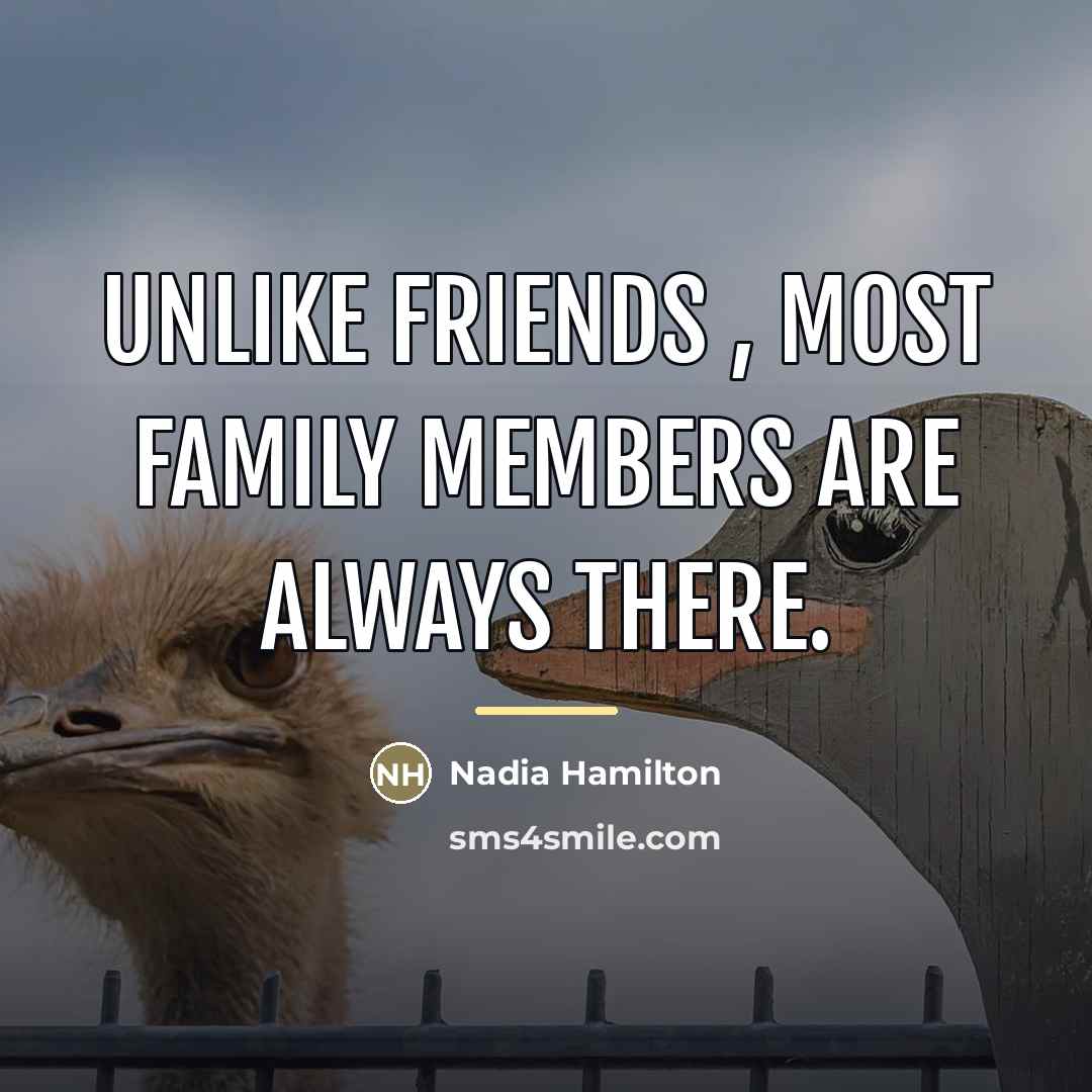 “Unlike friends , most family members are always there.…” quote by Nadia Hamilton