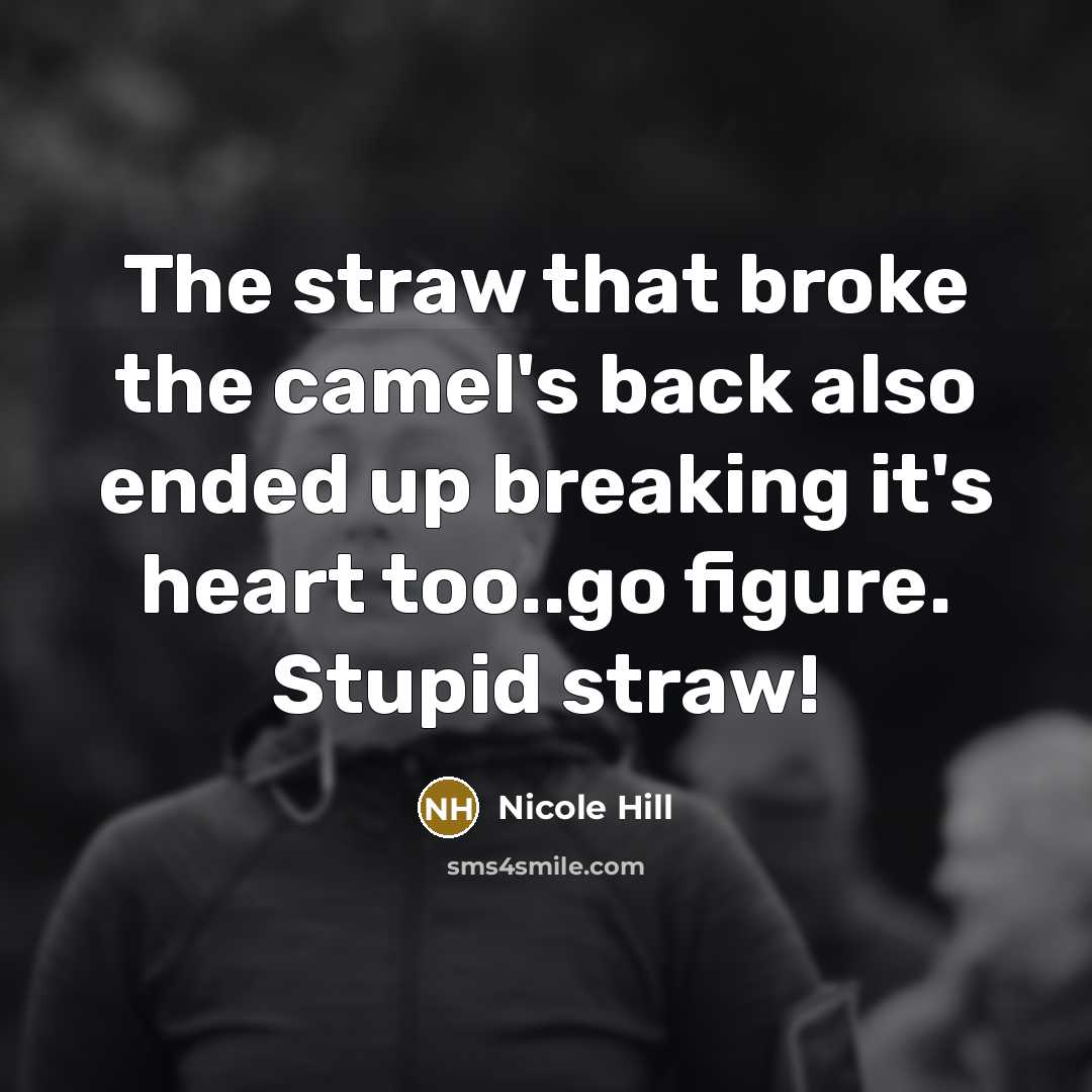 “The straw that broke the camel's back also ended up…” quote by NICOLE HILL