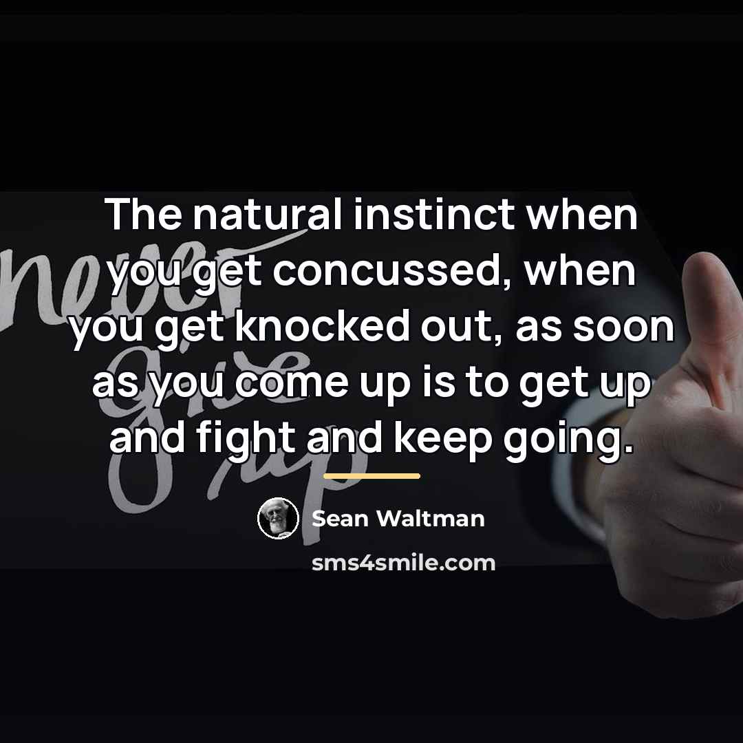 “The natural instinct when you get concussed, when you get…” quote by Sean Waltman