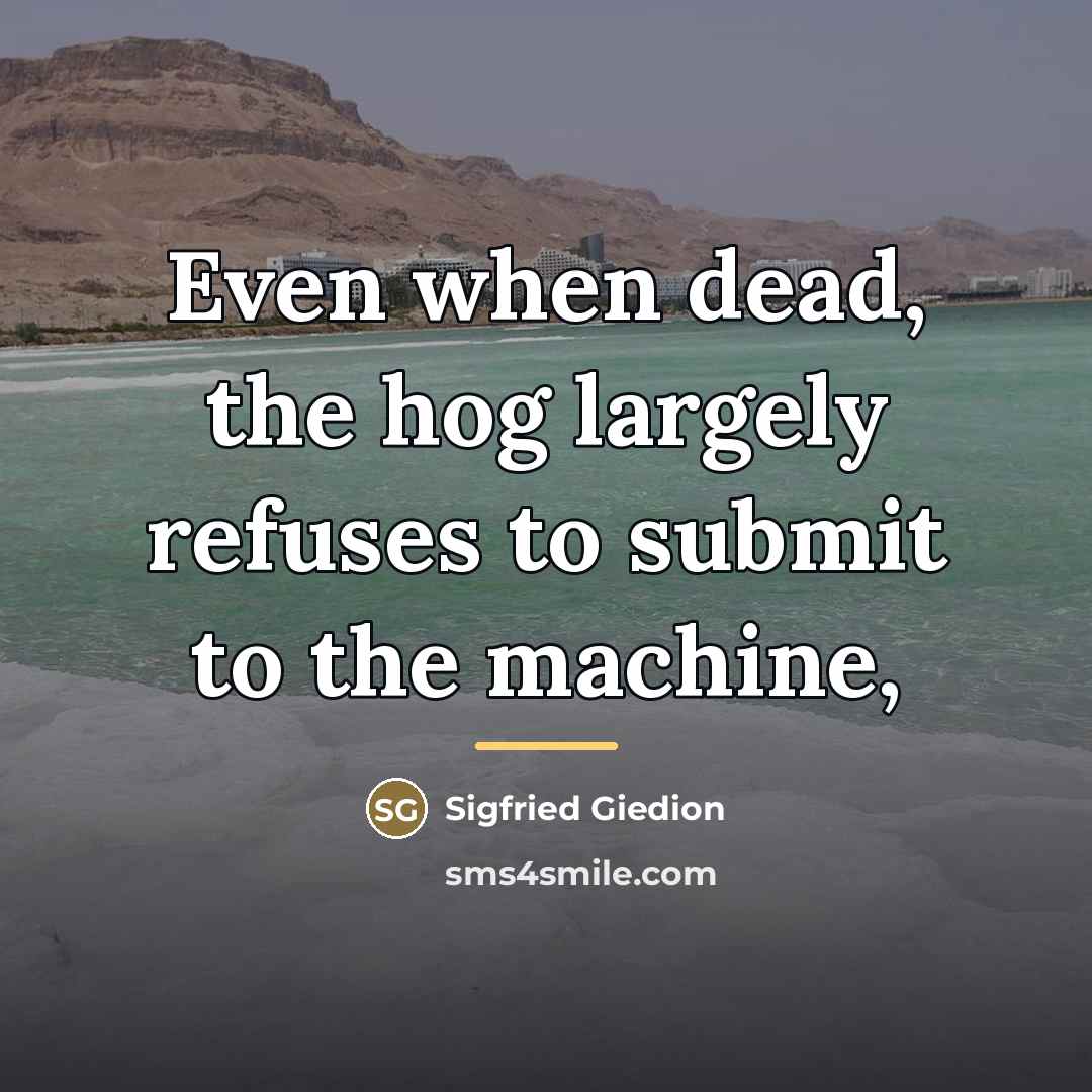 “Even when dead, the hog largely refuses to submit to…” quote by Sigfried Giedion