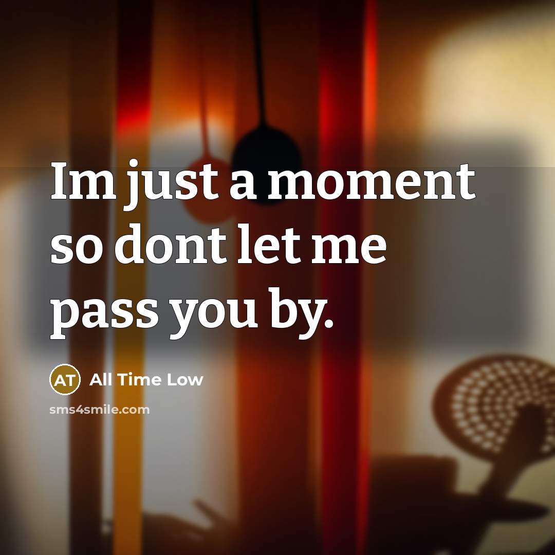 “Im just a moment so dont let me pass you by.” quote by All Time Low