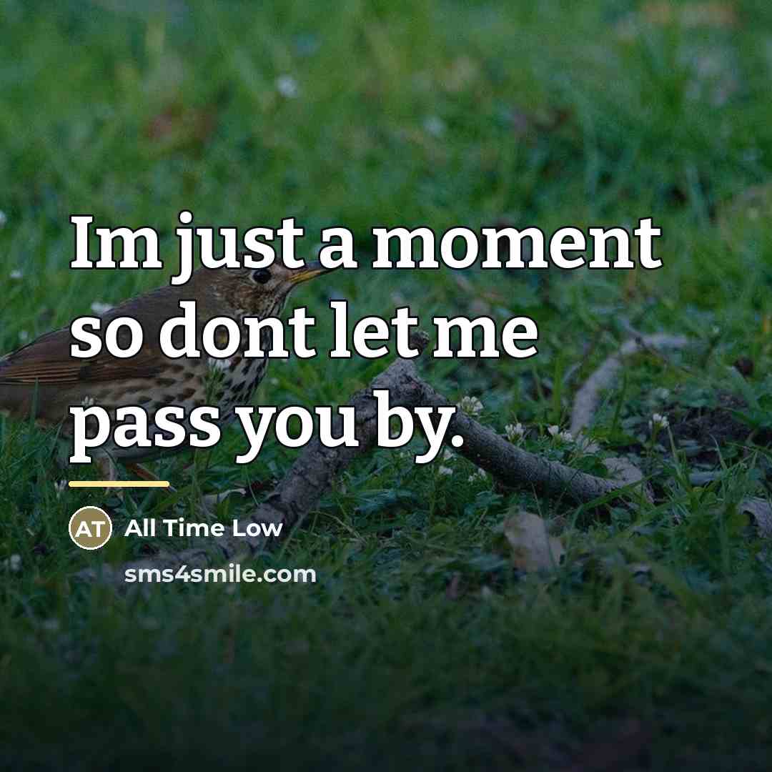 “Im just a moment so dont let me pass you…” quote by All Time Low