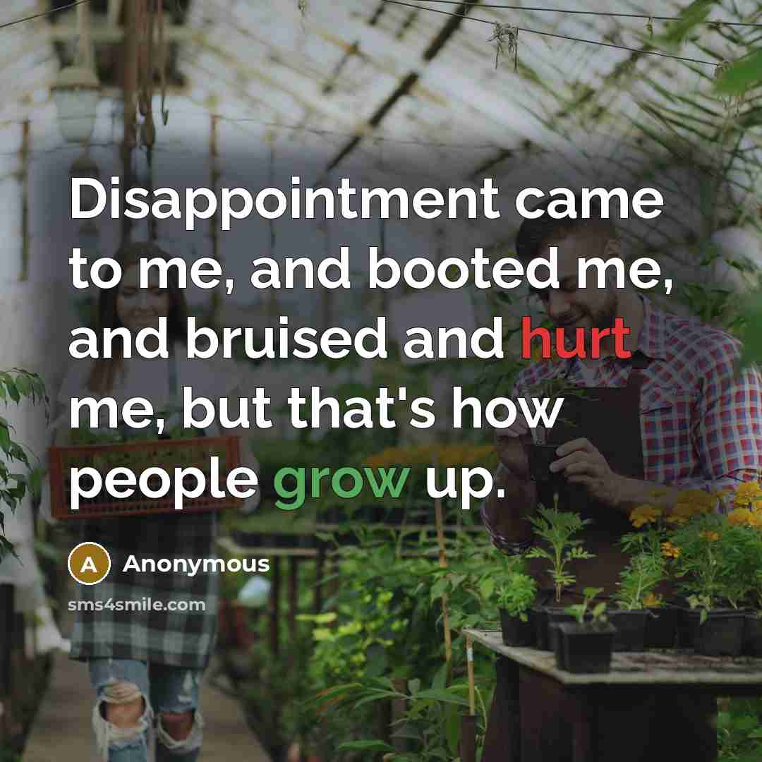 “Disappointment came to me, and booted me, and bruised and…” quote by Anonymous