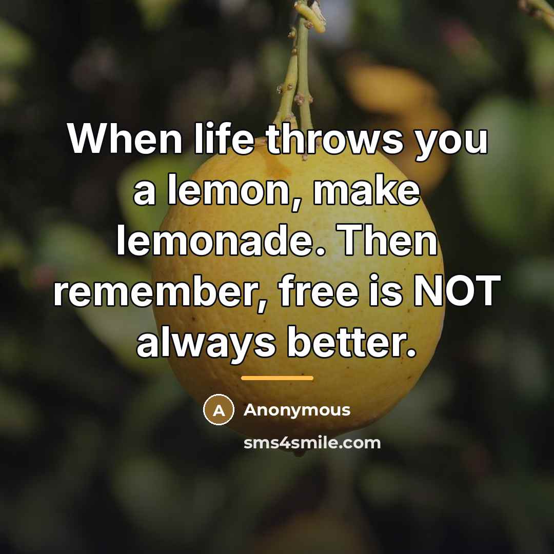 “When life throws you a lemon, make lemonade. Then remember,…” quote by Anonymous
