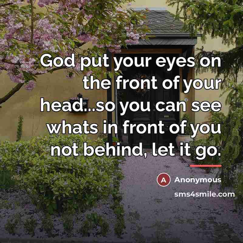 “God put your eyes on the front of your head...so you can see whats in front of you not behind, let it go.” quote by Anonymous