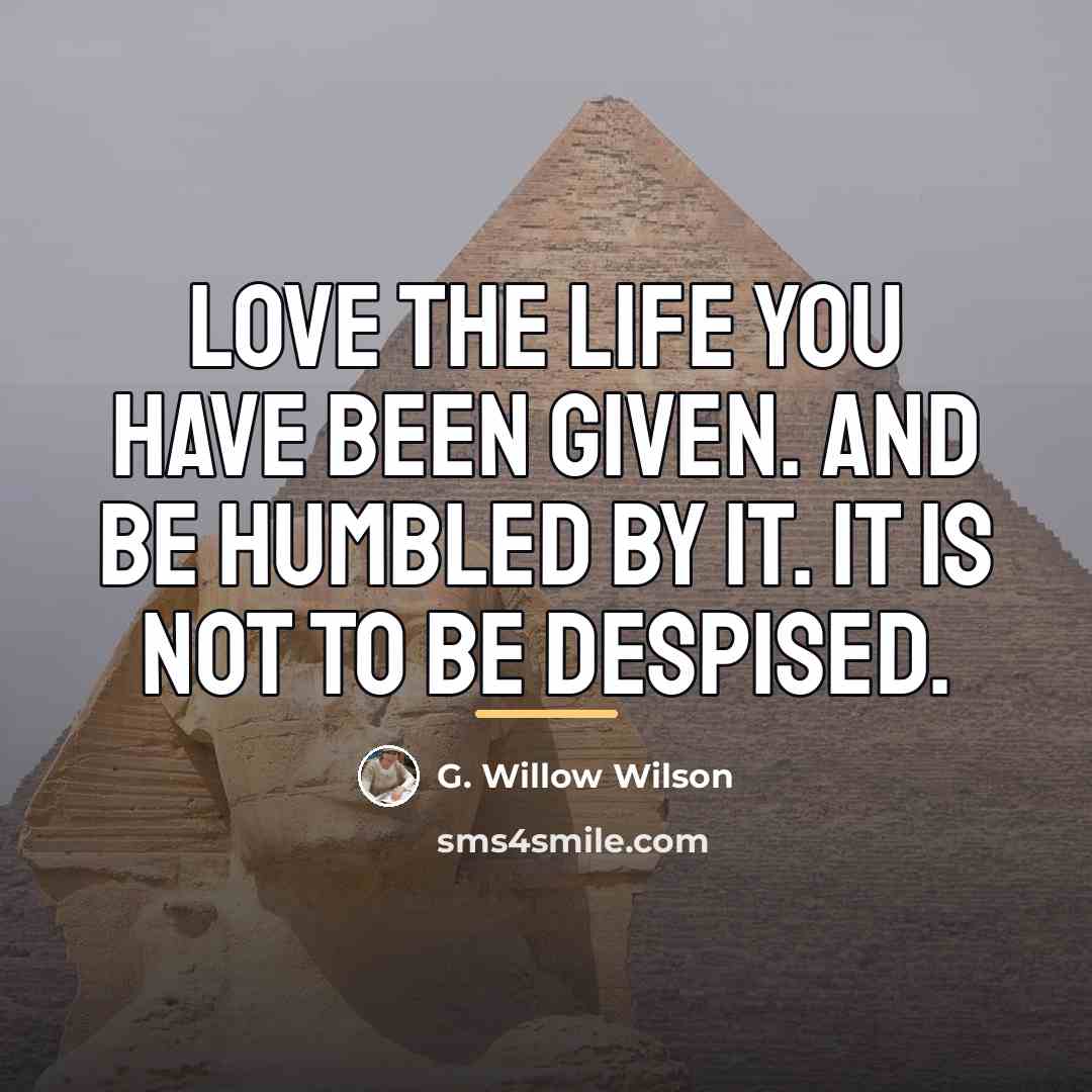 “Love the life you have been given. And be humbled…” quote by G. Willow Wilson