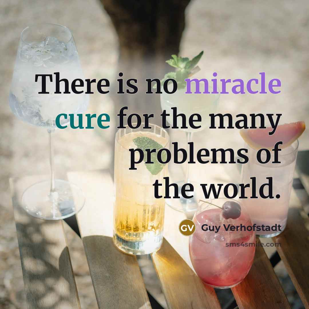 “There is no miracle cure for the many problems of…” quote by Guy Verhofstadt
