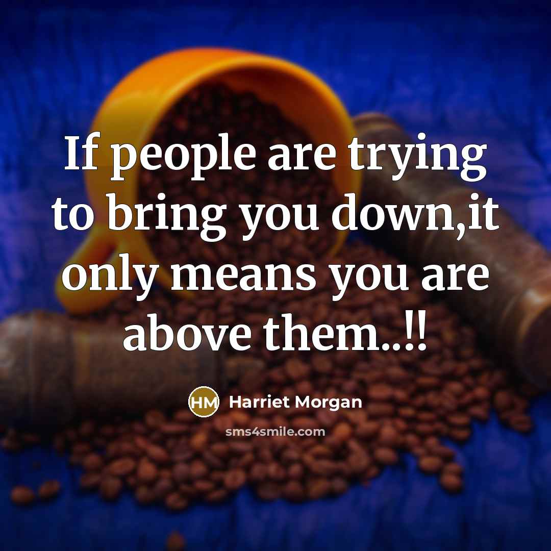 “If people are trying to bring you down,it only means…” quote by Harriet Morgan