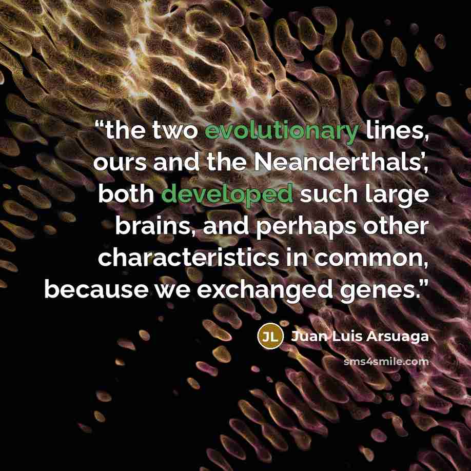“the two evolutionary lines, ours and the Neanderthals’, both developed such large brains, and perhaps other characteristics in common, because we exchanged genes.” quote by Juan Luis Arsuaga
