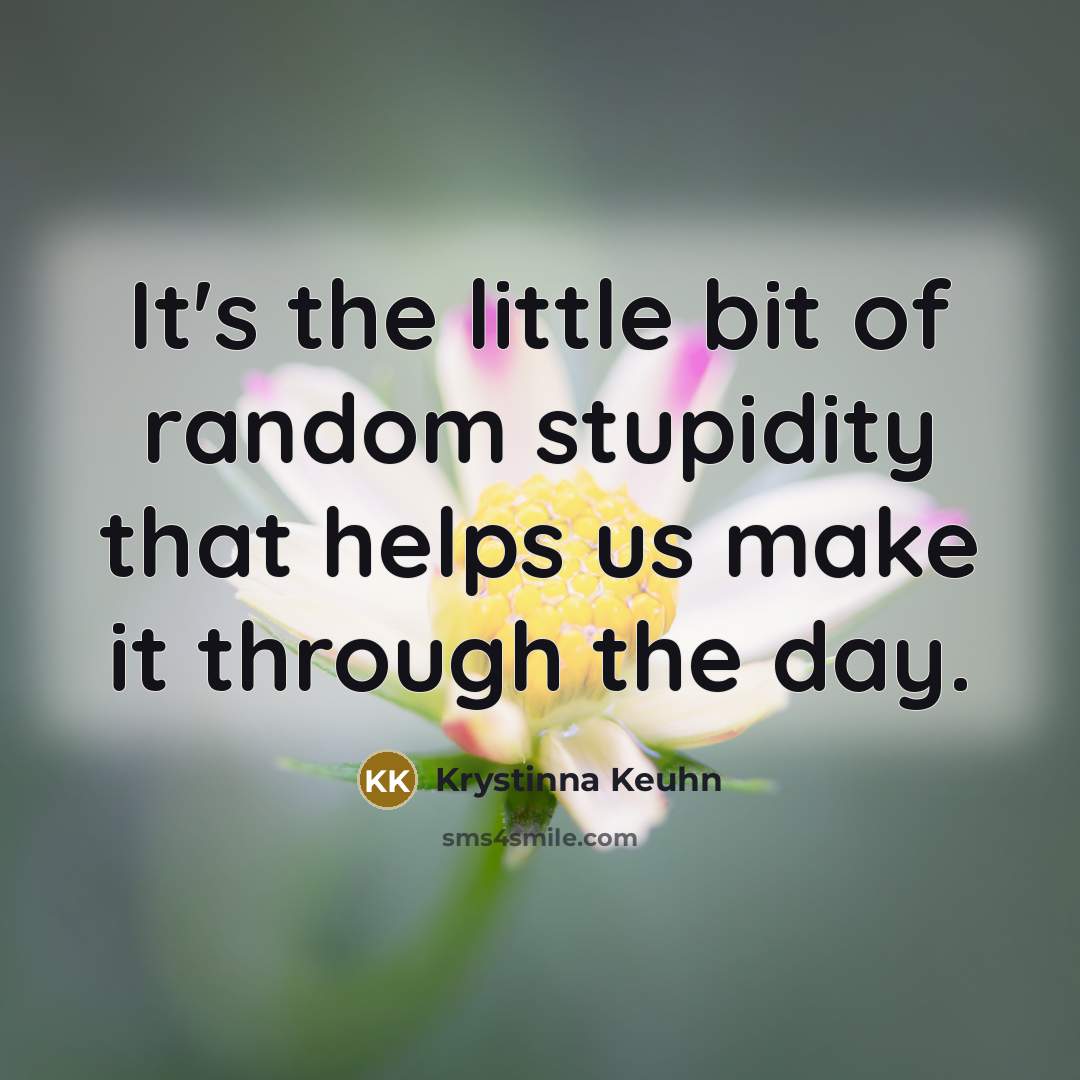 “It's the little bit of random stupidity that helps us make it through the day.” quote by Krystinna Keuhn
