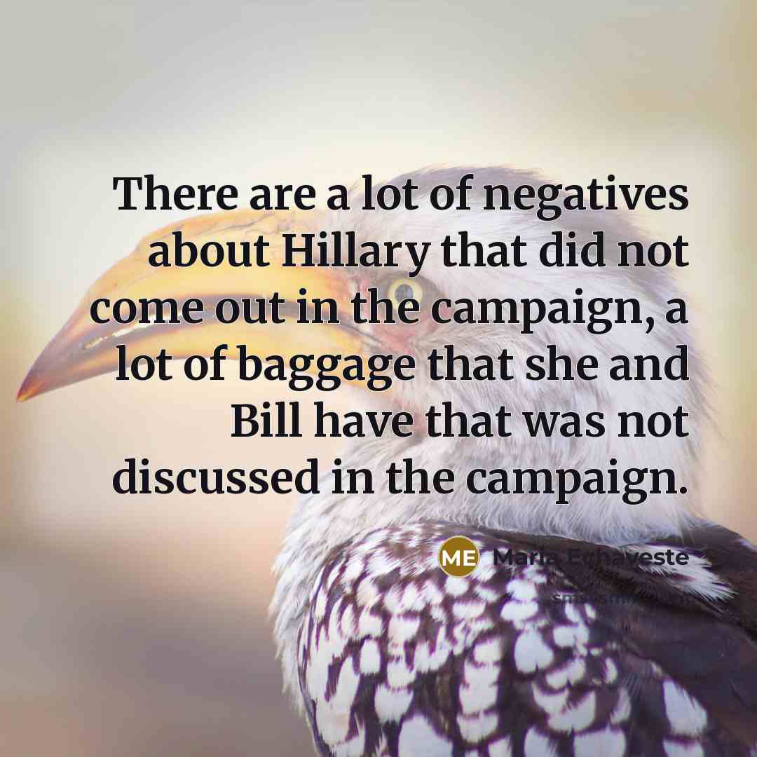 “There are a lot of negatives about Hillary that did not come out in the campaign, a lot of baggage that she and Bill have that was not discussed in the campaign.” quote by Maria Echaveste