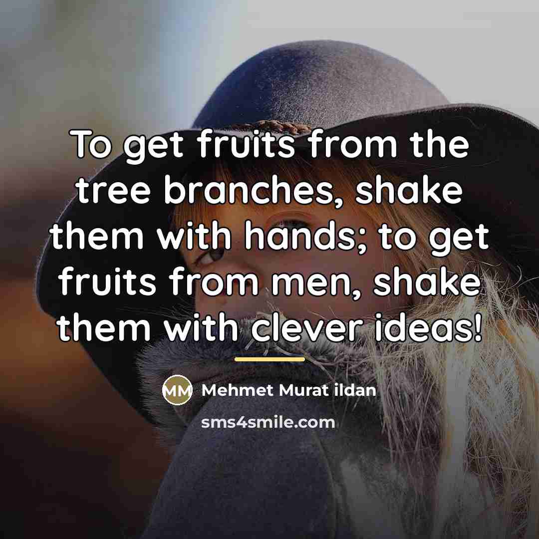 “To get fruits from the tree branches, shake them with…” quote by Mehmet Murat Ildan