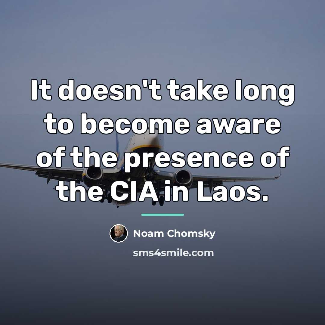 “It doesn't take long to become aware of the presence…” quote by Noam Chomsky