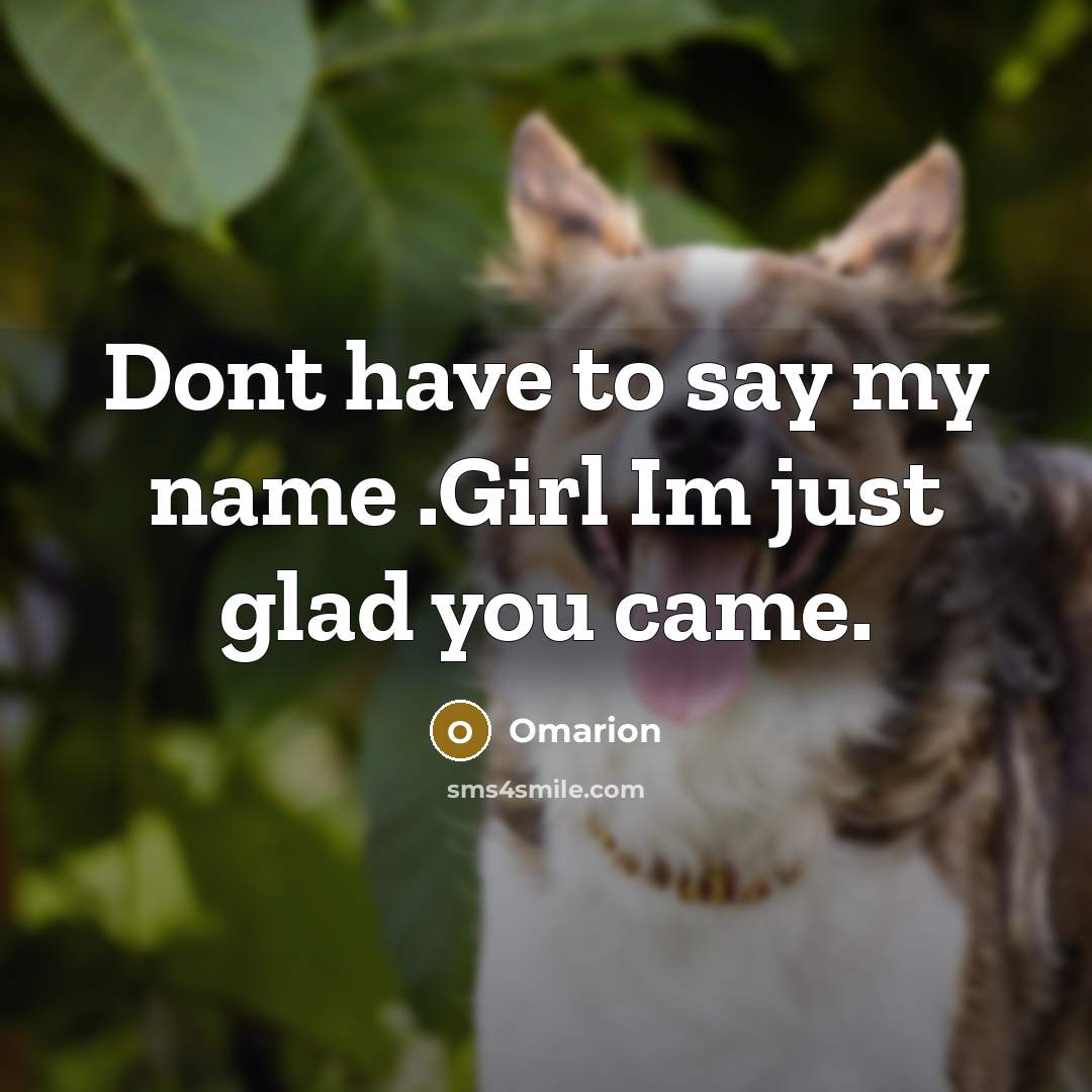 “Dont have to say my name .Girl Im just glad you came.” quote by Omarion