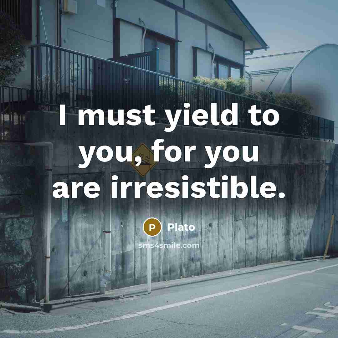 “I must yield to you, for you are irresistible.…” quote by Plato