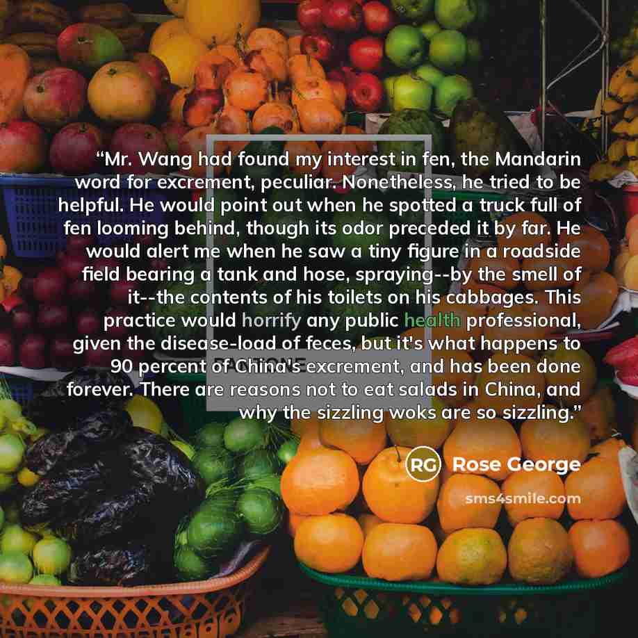 “Mr. Wang had found my interest in fen, the Mandarin word for excrement, peculiar. Nonetheless, he tried to be helpful. He would point out when he spotted a truck full of fen looming behind, though its odor preceded it by far. He would alert me when he saw a tiny figure in a roadside field bearing…” quote by Rose George