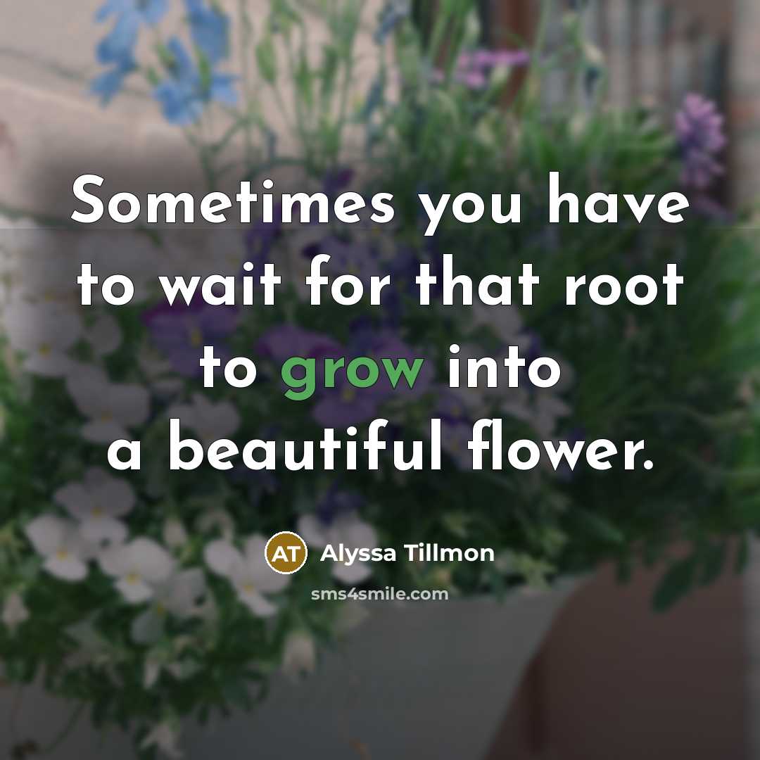 “Sometimes you have to wait for that root to grow…” quote by Alyssa Tillmon
