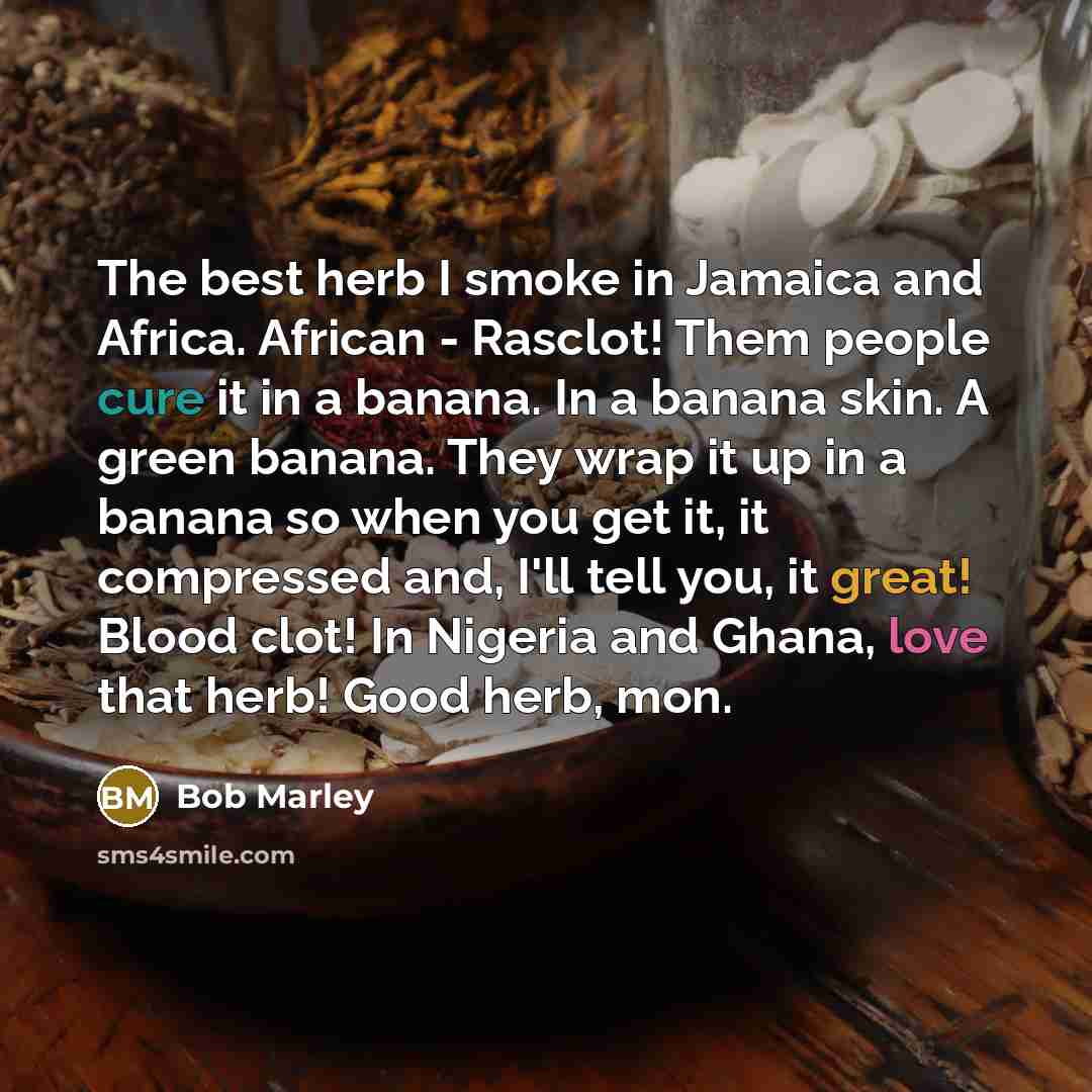“The best herb I smoke in Jamaica and Africa. African…” quote by Bob Marley