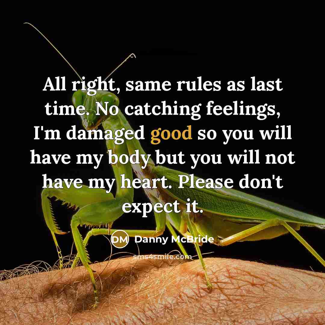 “All right, same rules as last time. No catching feelings, I'm damaged good so you will have my body but you will not have my heart. Please don't expect it.” quote by Danny Mcbride