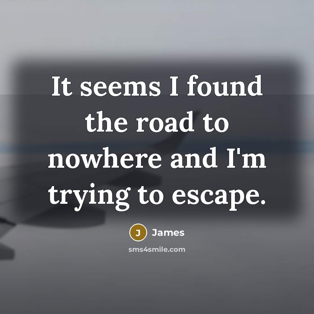 “It seems I found the road to nowhere and I'm…” quote by James