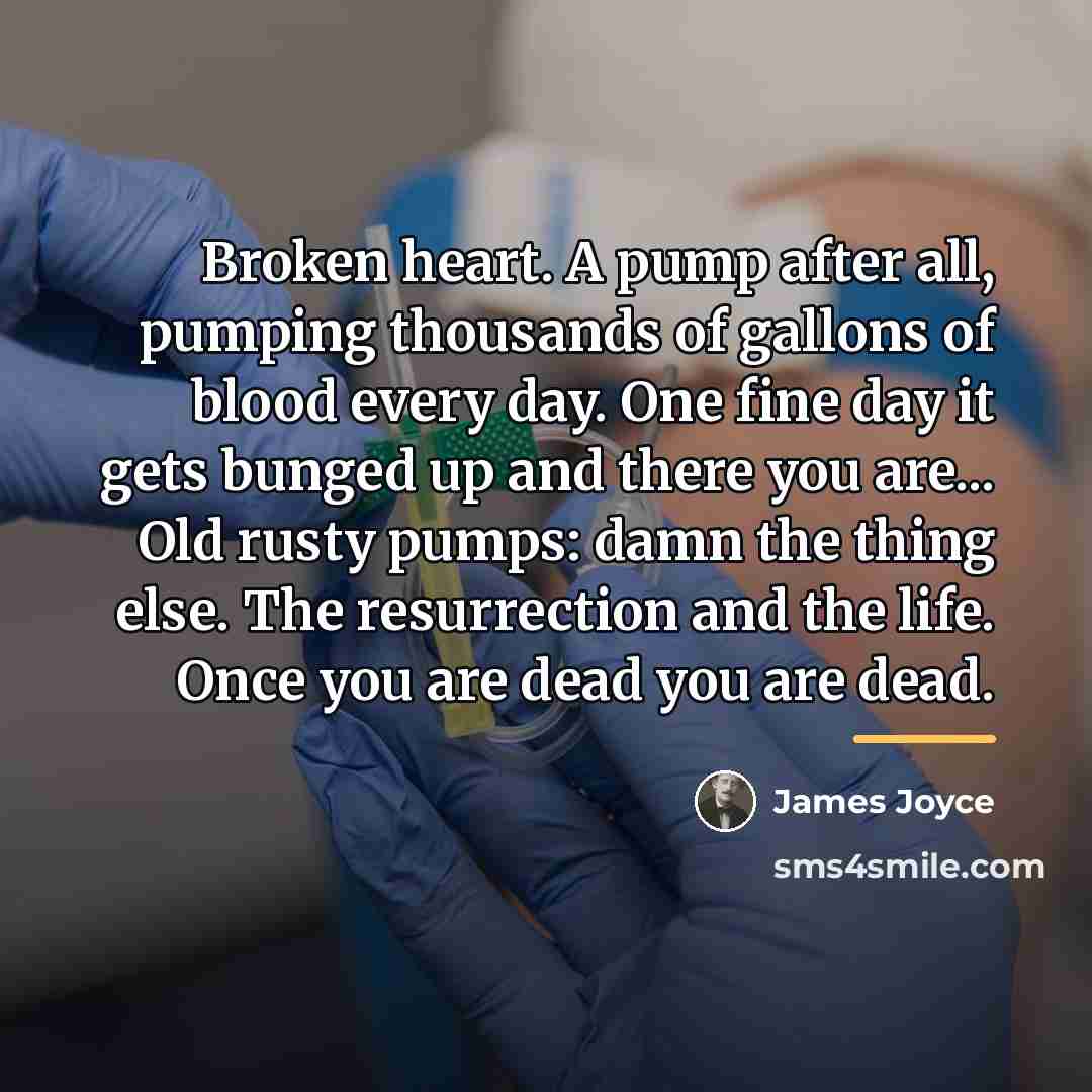 “Broken heart. A pump after all, pumping thousands of gallons…” quote by James Joyce