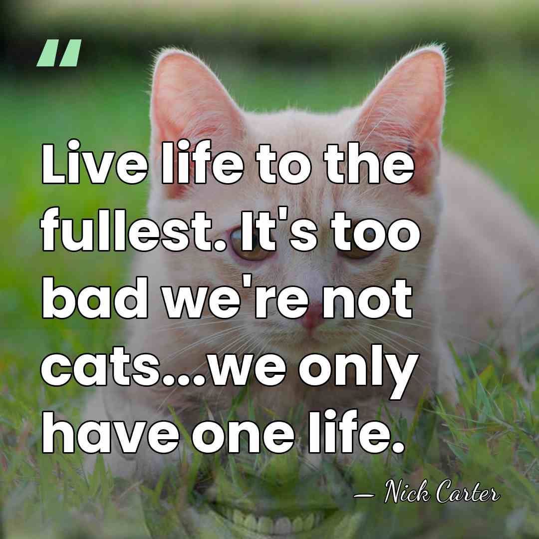 Live life to the fullest. It's too bad we're not cats...we only&hellip; - Nick Carter