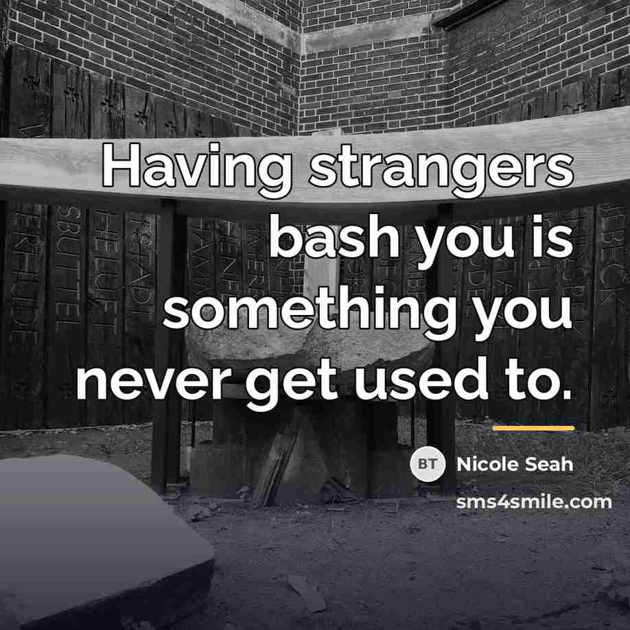 “Having strangers bash you is something you never get used…” quote by Nicole Seah