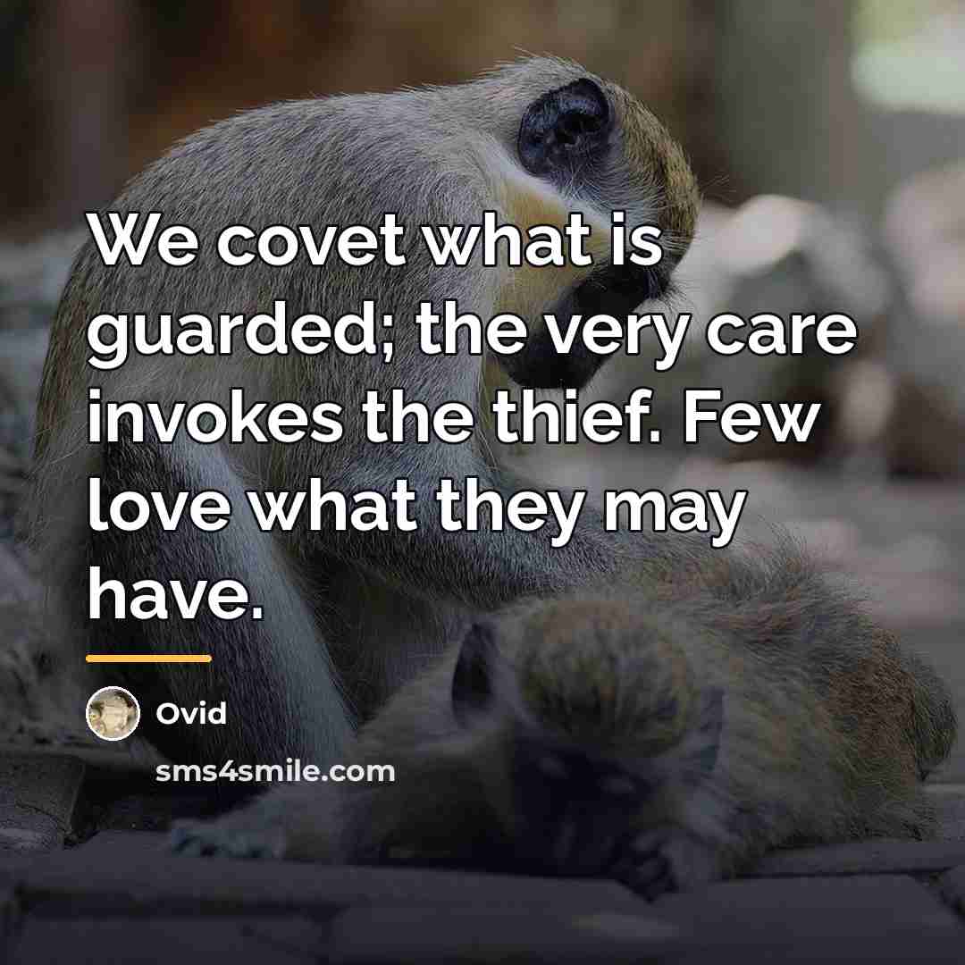 “We covet what is guarded; the very care invokes the…” quote by Ovid