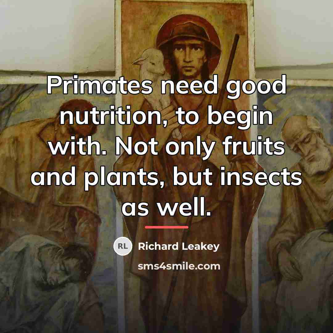 “Primates need good nutrition, to begin with. Not only fruits…” quote by Richard Leakey