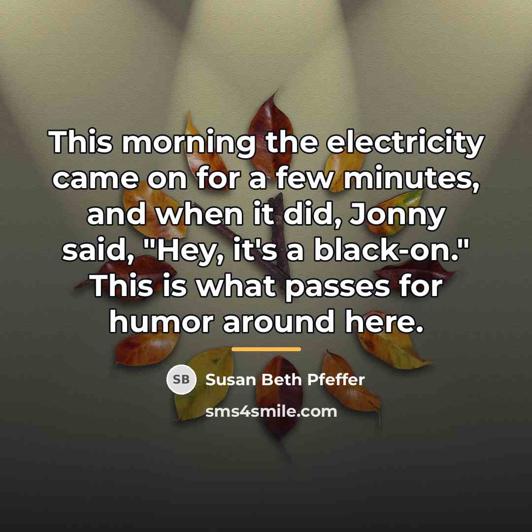 “This morning the electricity came on for a few minutes,…” quote by Susan Beth Pfeffer