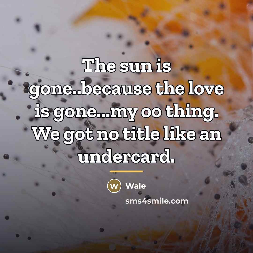 “The sun is gone..because the love is gone...my oo thing.…” quote by Wale