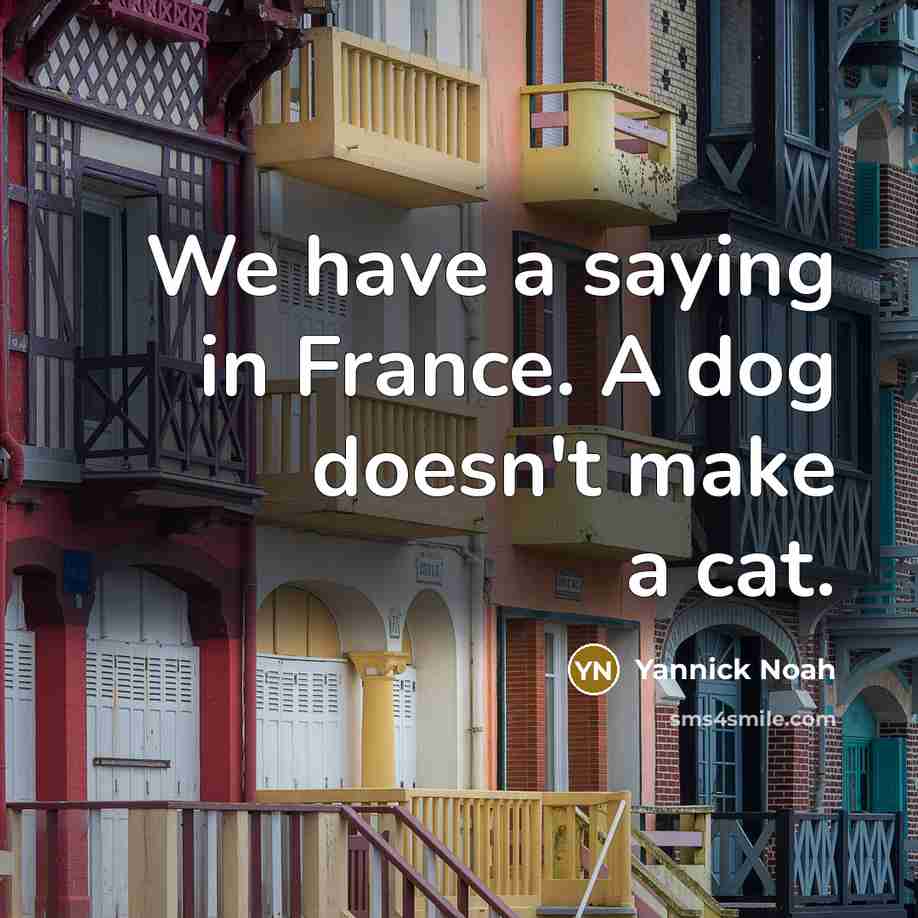“We have a saying in France. A dog doesn't make…” quote by Yannick Noah
