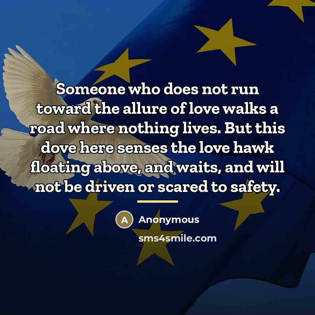 “Someone who does not run toward the allure of love…” quote by Anonymous