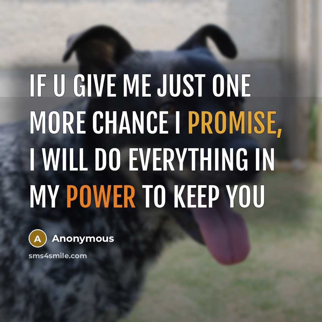 “If u give me just one more chance I promise, I will do everything in my power to keep you” quote by Anonymous