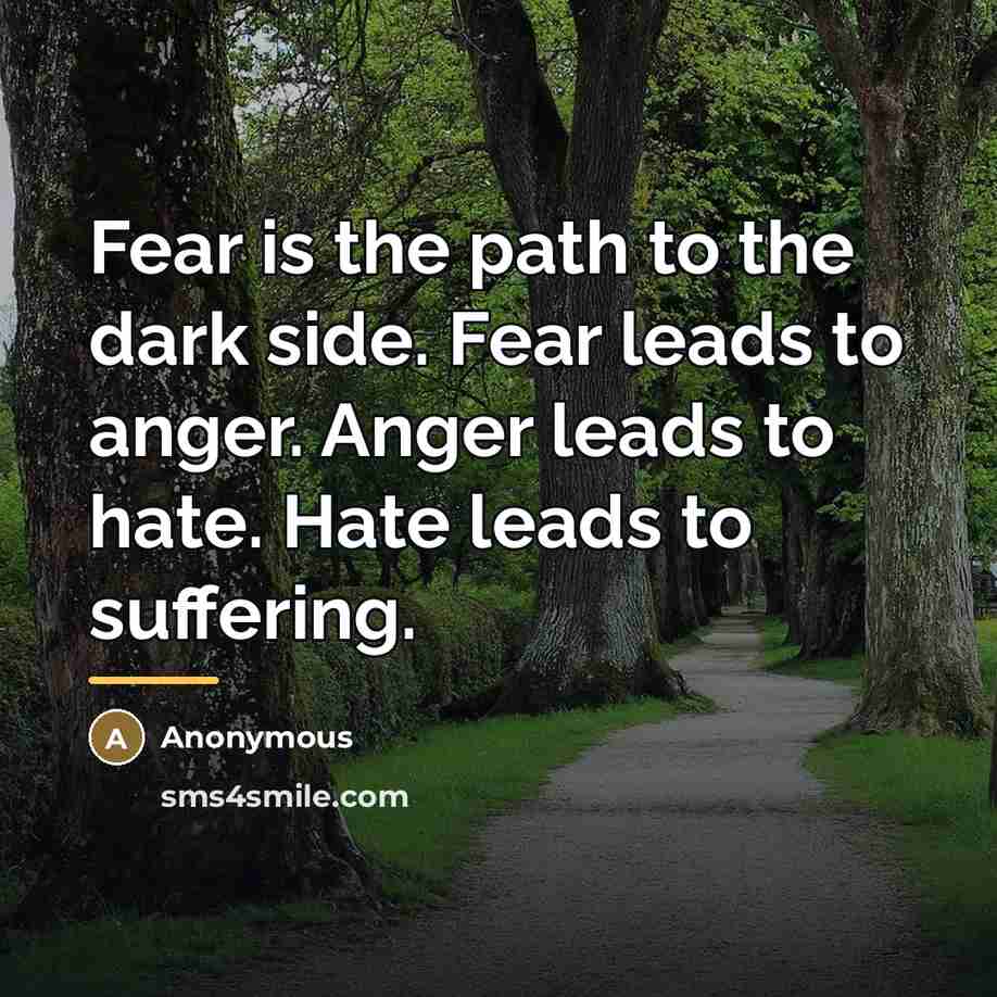 “Fear is the path to the dark side. Fear leads…” quote by Anonymous