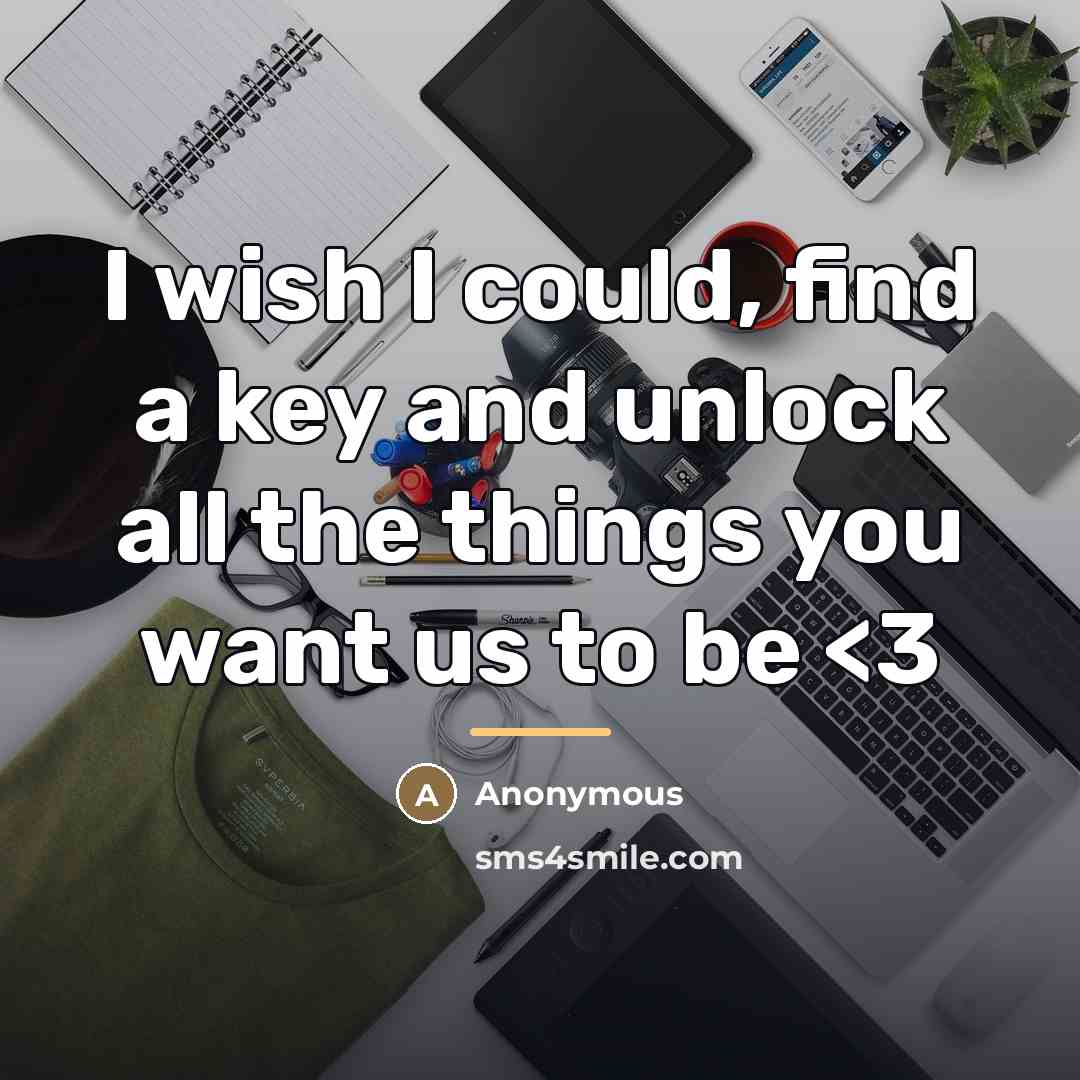 “I wish I could, find a key and unlock all…” quote by Anonymous