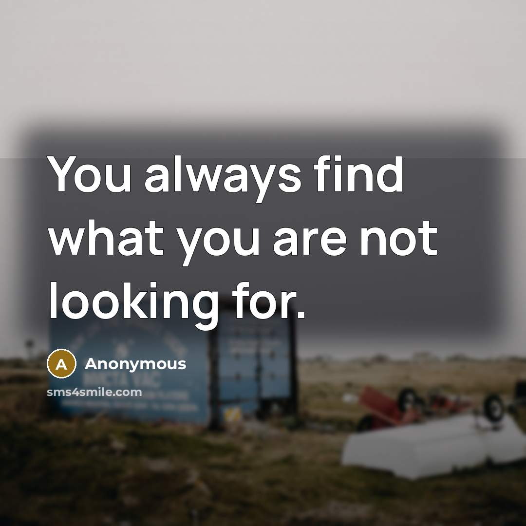 “You always find what you are not looking for.…” quote by Anonymous