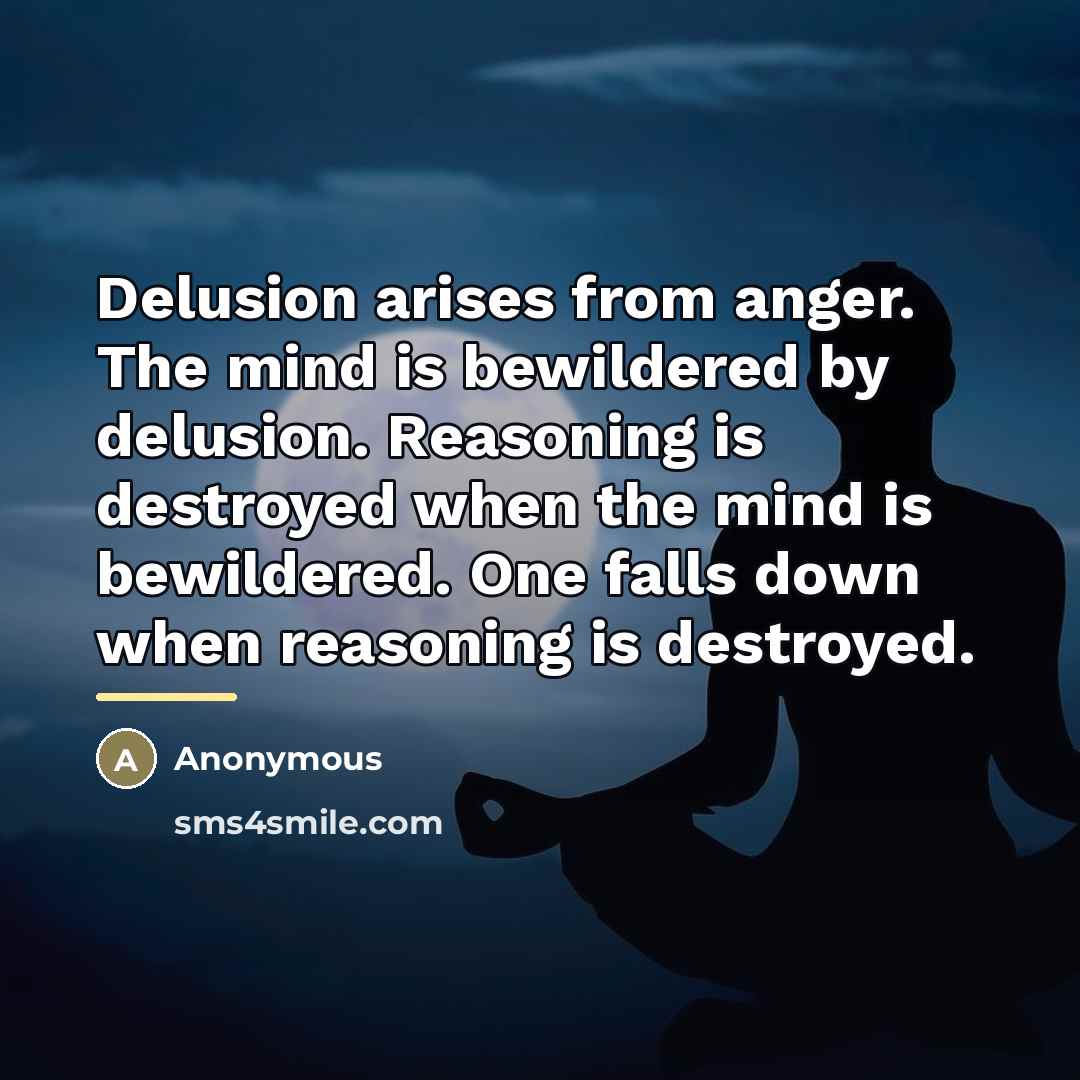 “Delusion arises from anger. The mind is bewildered by delusion.…” quote by Anonymous