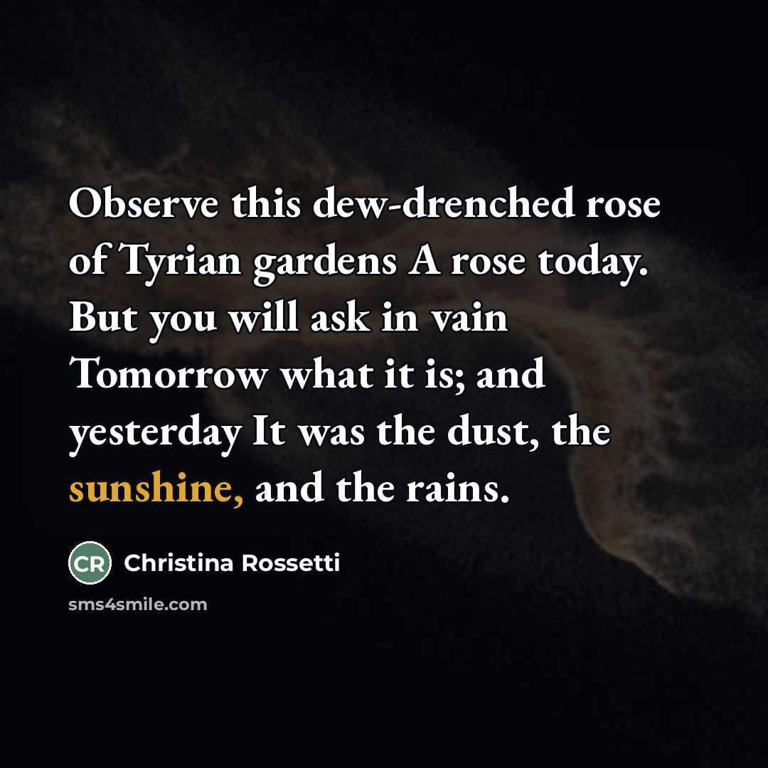 “Observe this dew-drenched rose of Tyrian gardens A rose today.…” quote by Christina Rossetti