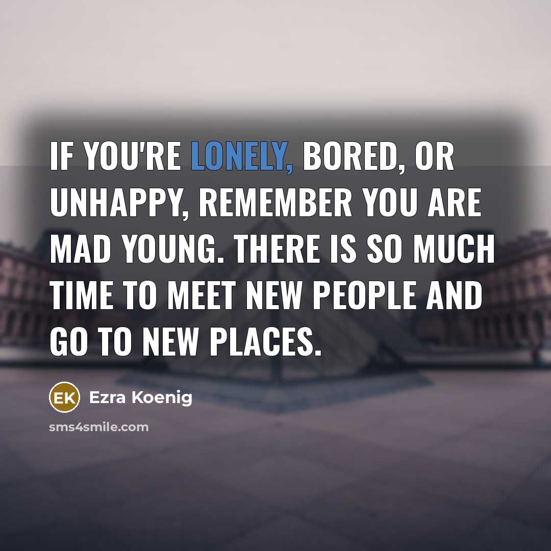 “If you're lonely, bored, or unhappy, remember you are mad…” quote by Ezra Koenig